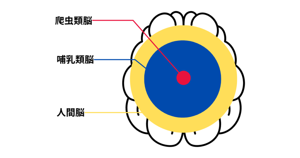 三位一体脳理論